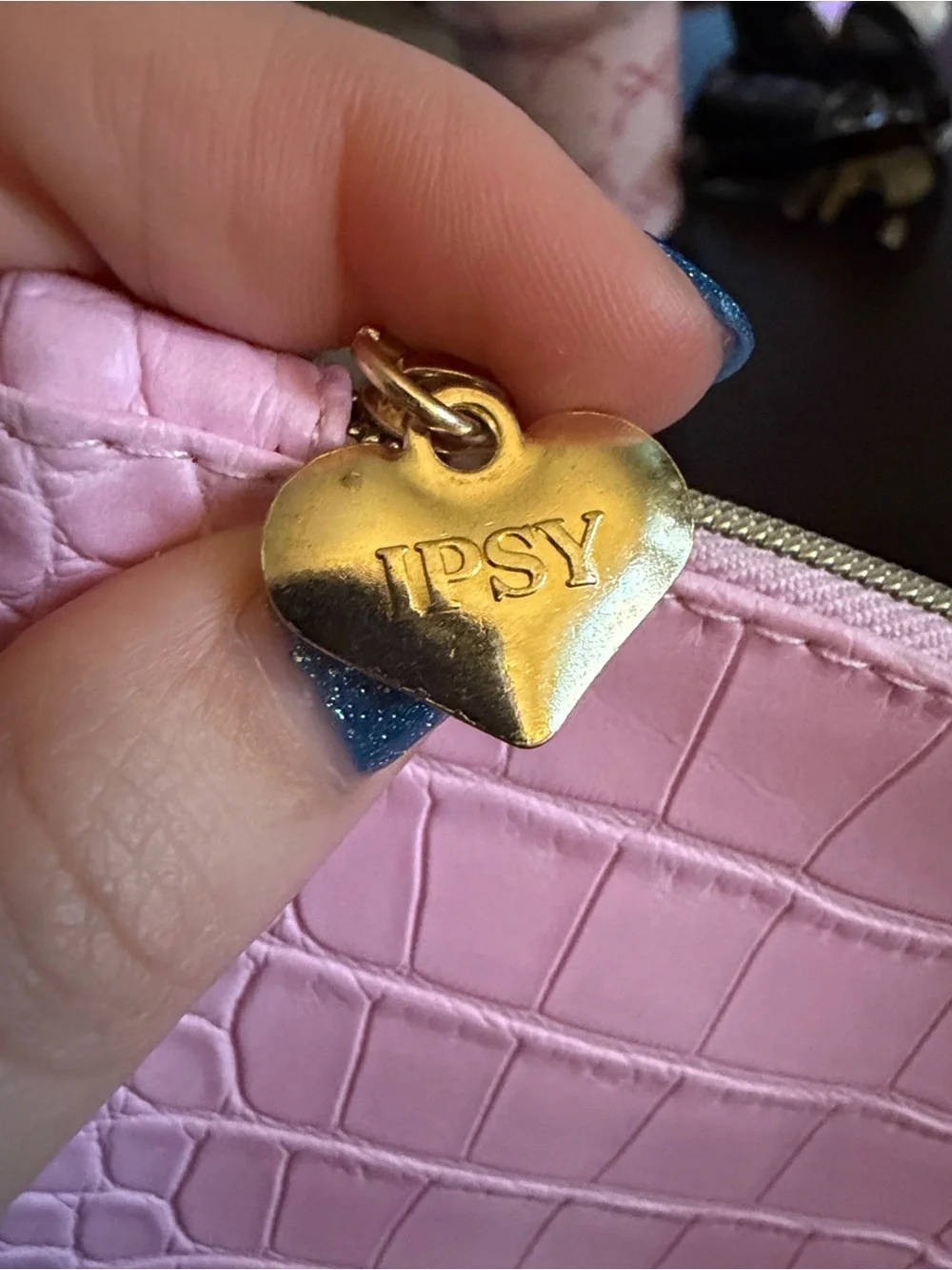 IPSY Glam Bag pouch punk faux croc February 2026.